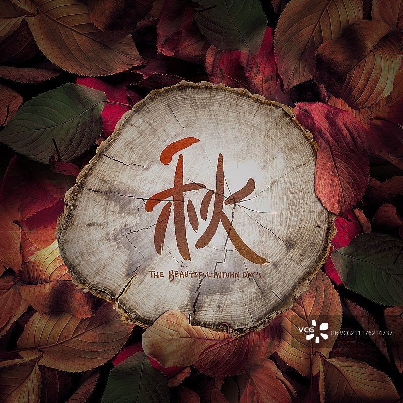 秋季背景框架图片素材