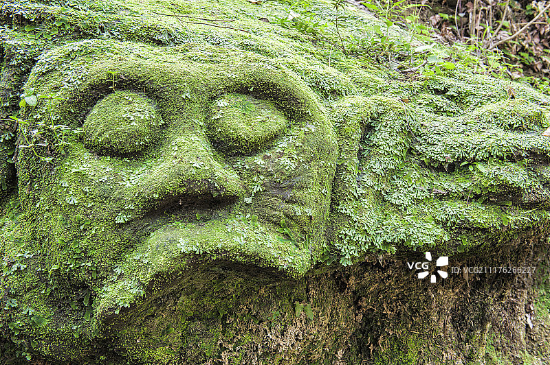巴厘岛象洞的苔藓雕塑图片素材