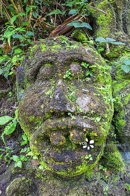 巴厘岛象洞的苔藓雕塑图片素材