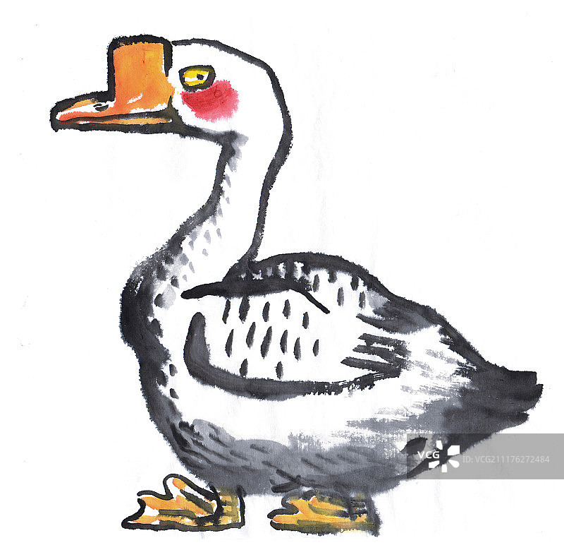 水墨插画大白鹅图片素材