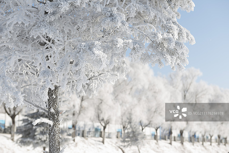 吉林市松花江雾凇长廊冬季风光图片素材