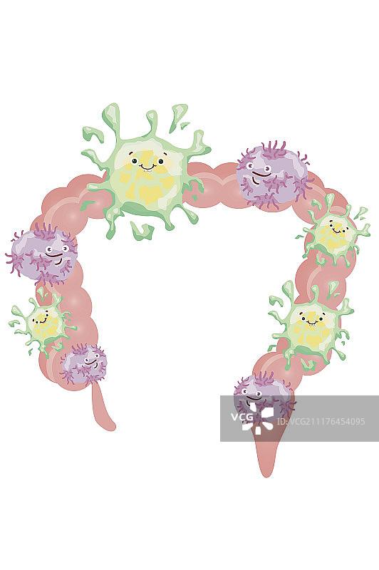 肠道,好菌图片素材