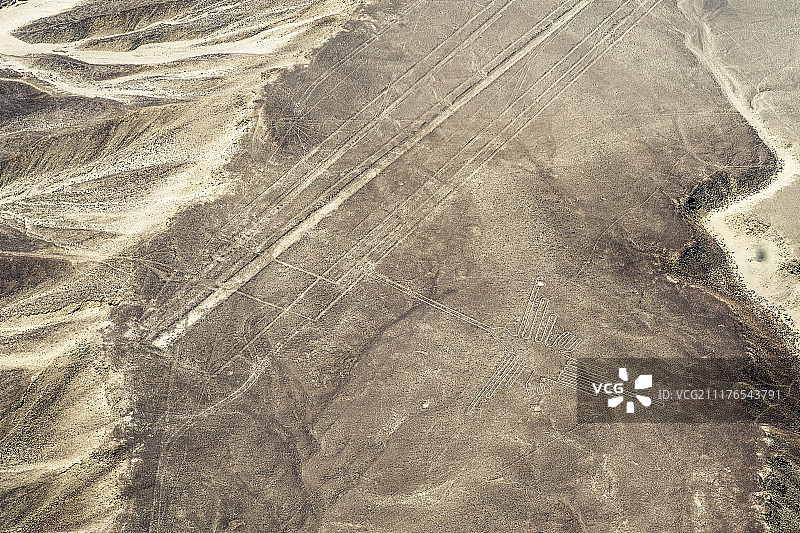 长嘴蜂鸟与直线图片素材