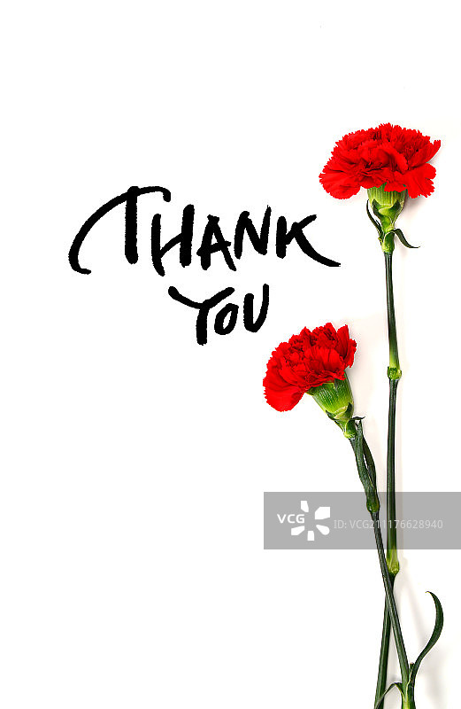 书法，家庭月，感谢，康乃馨，父母节图片素材