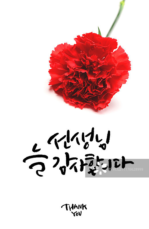 书法：家庭月、感谢、康乃馨、教师节图片素材