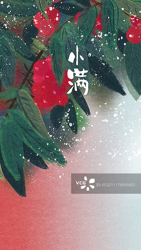 小满 樱桃树图片素材