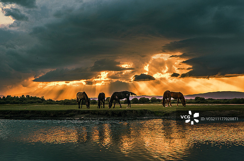 新疆伊犁河落日图片素材