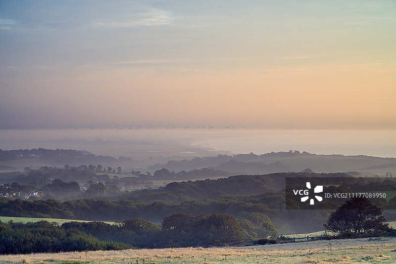 费尔莱特到黑麦图片素材