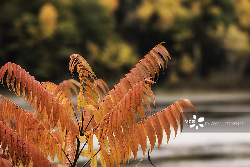 燃烧的光芒图片素材