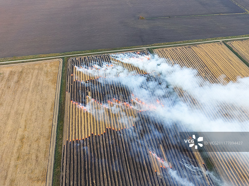 麦收后田野里燃烧的稻草图片素材