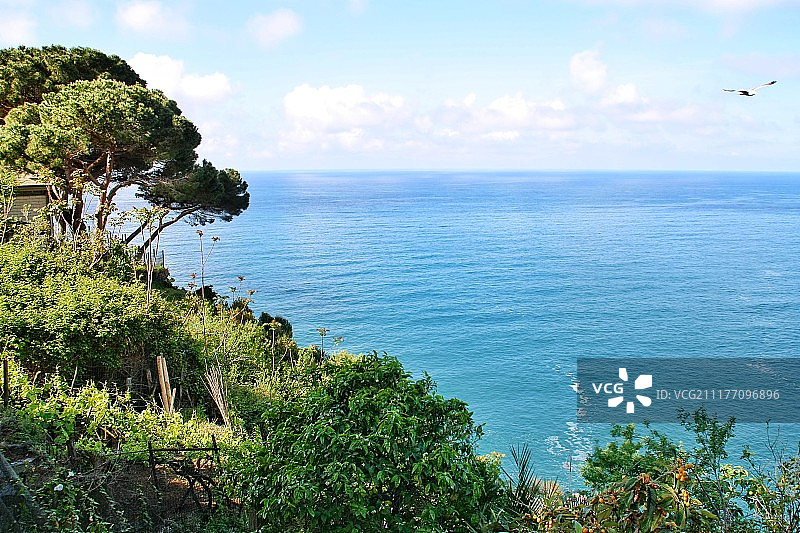 无尽的大海图片素材