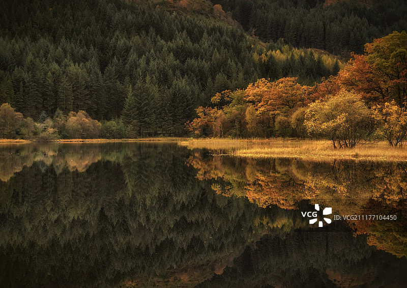 秋季的乔恩湖图片素材