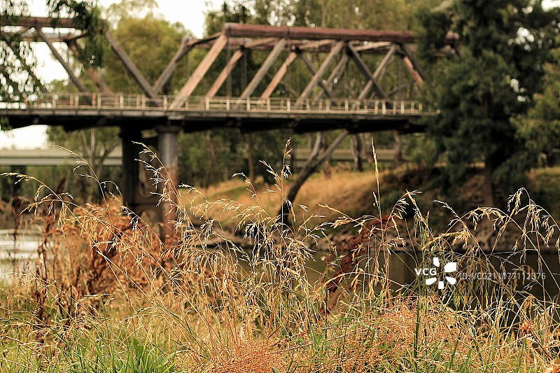 干草和断木桥景观图片素材