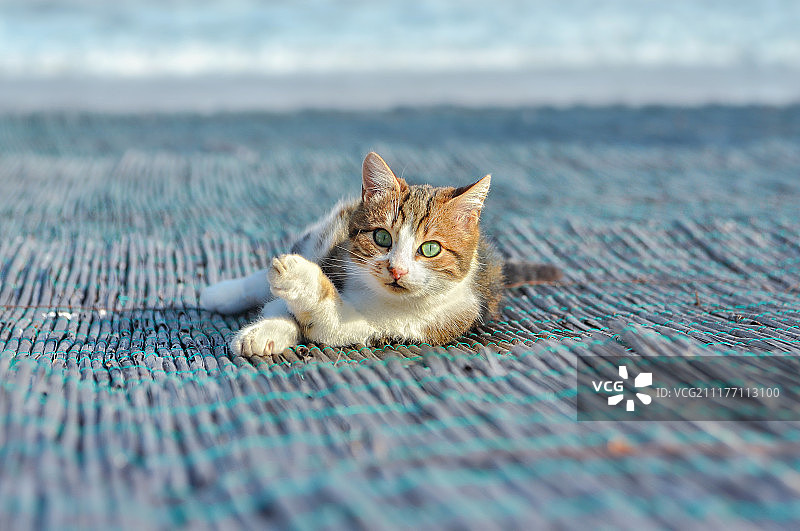 乌克兰敖德萨图片素材