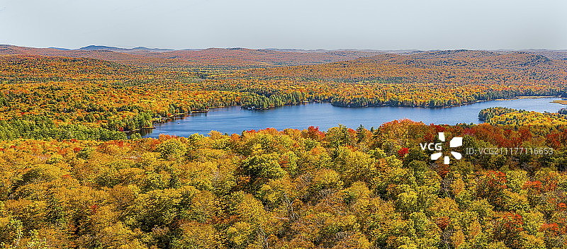 纽约州阿迪朗达克公园的秃山图片素材