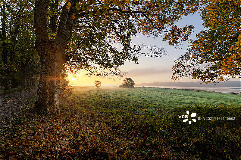 秋日日出图片素材