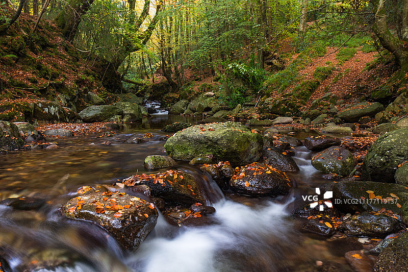 森林河流景观图片素材