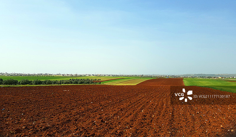 晴空下的乡村景色图片素材