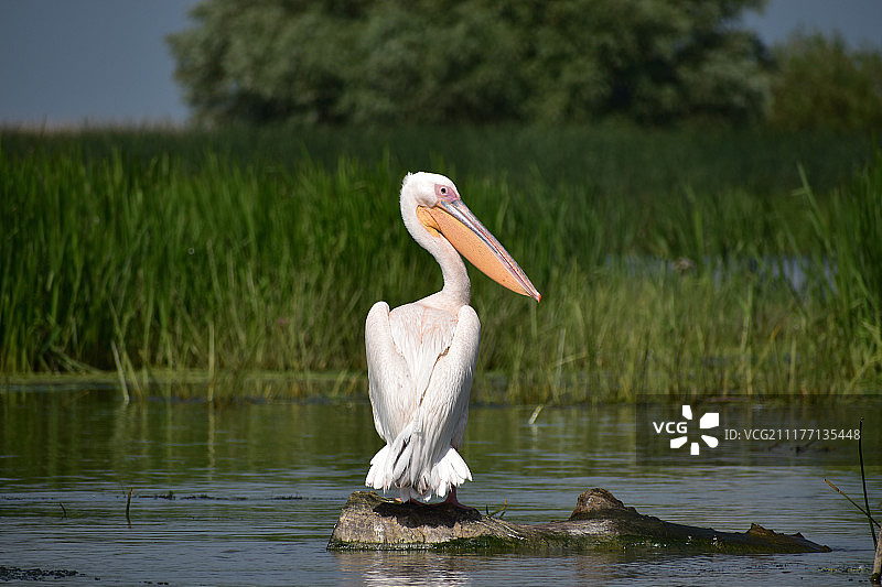 我也看到你了图片素材