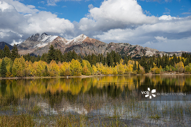 迷失湖的白杨树光芒图片素材