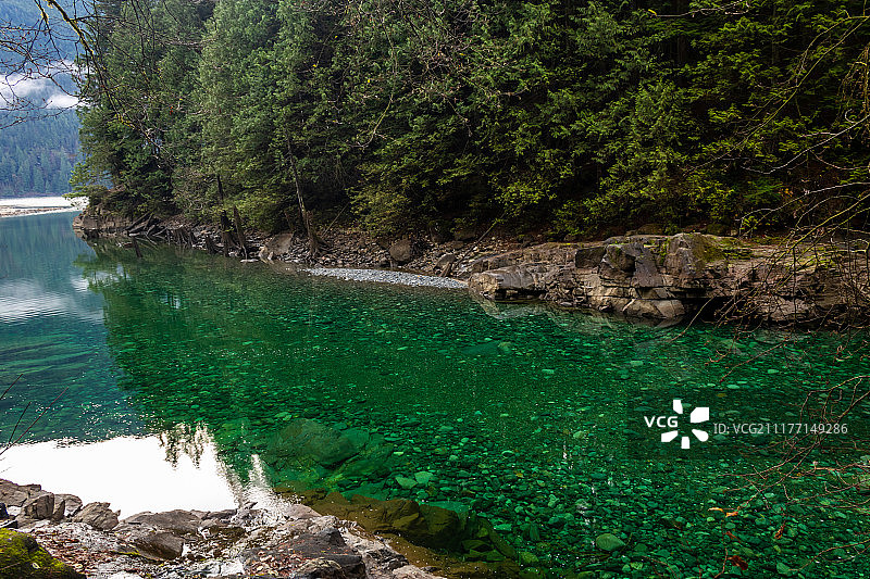 金色溪流的碧绿水面图片素材