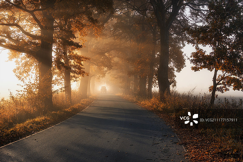 秋日意境图片素材