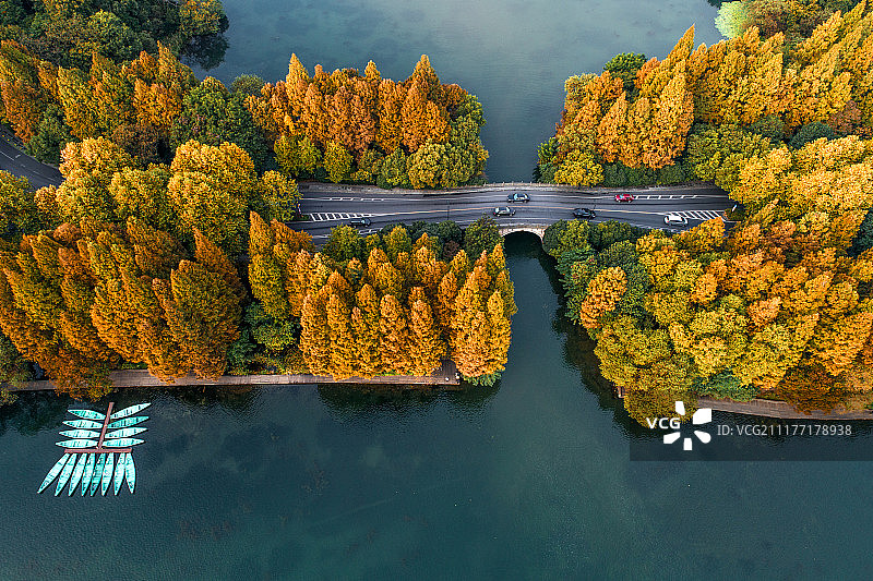 航拍 杭州西湖 杨公堤秋色图片素材