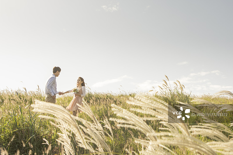 情侣在银色草地中牵手的摄影图片素材