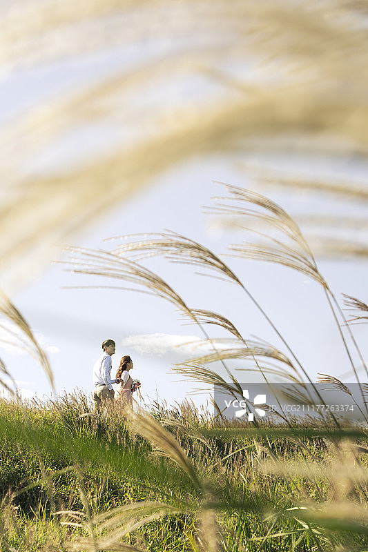 情侣在银色草地中牵手的摄影图片素材