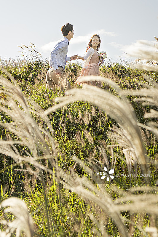 情侣手牵手在银色草地奔跑的摄影作品图片素材