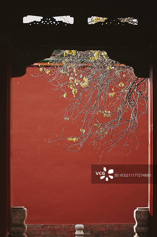 故宫深秋图片素材