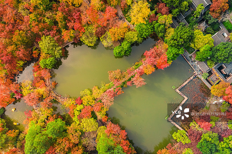 苏州天平山红枫秋色图片素材