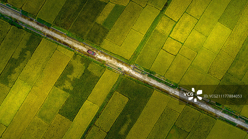 麦田风景线图片素材