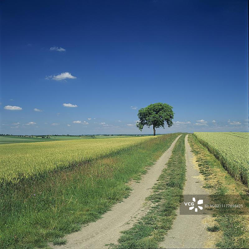 法国奥弗涅多姆山利马涅平原的田野轨迹图片素材