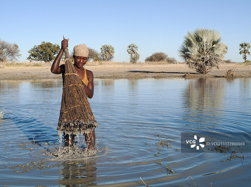 在浅水池塘里捕鱼的奥万博族女孩，后方是所谓的奥沙纳，真正的扇形棕榈或马卡拉尼棕榈（彼得斯透明棕榈），奥万博兰，奥穆萨蒂地区，纳米比亚，非洲图片素材