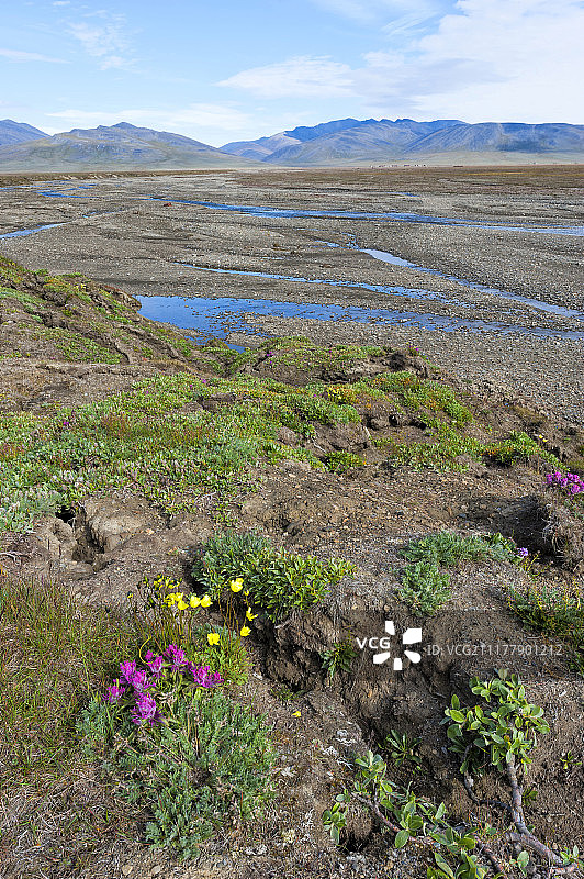 俄罗斯远东联邦区弗兰格尔岛疑虑村附近的疑虑河河床图片素材