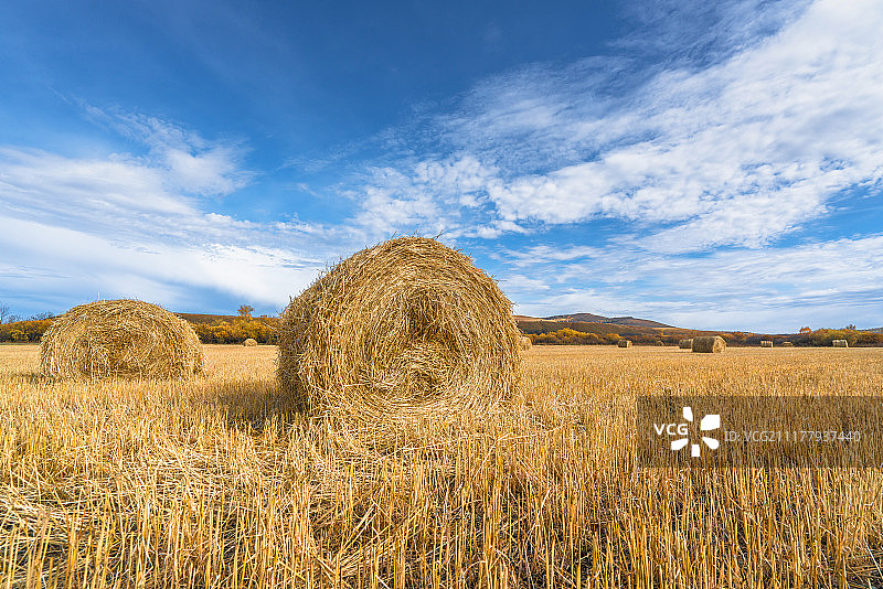蓝天白云下的草垛图片素材