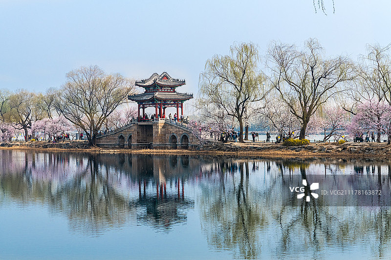 北京颐和园西堤桃花盛开图片素材