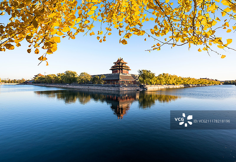 金色银杏叶前景下的故宫角楼全景图片素材