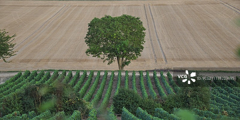 莱讷欧布瓦，2016年9月2日027图片素材