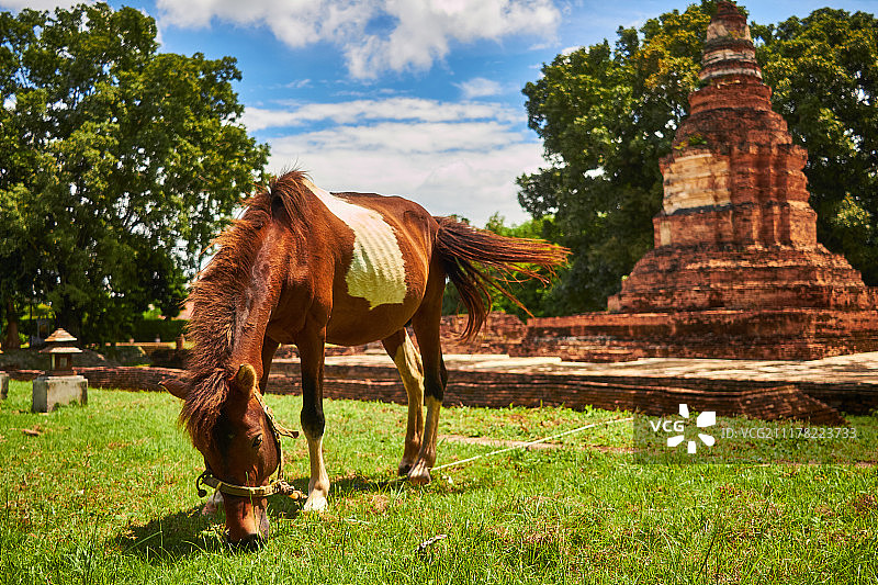 魏功甘古城图片素材