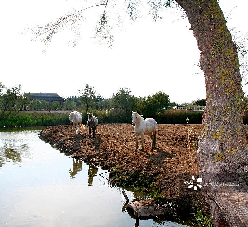 卡玛格风光图片素材