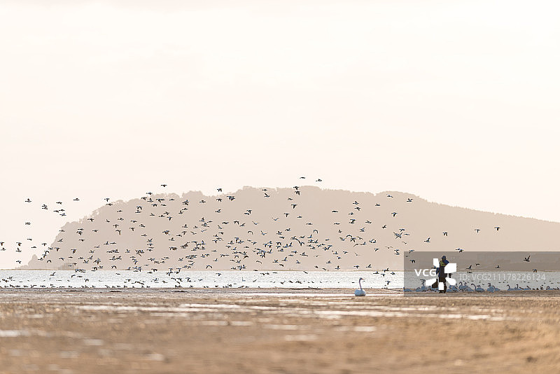 喂鸟的人图片素材