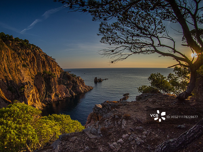 塔马里乌图片素材