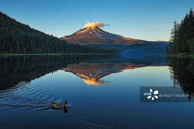 特里利姆湖的平静水面图片素材