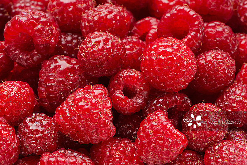 潮湿的覆盆子莓果背景图片素材