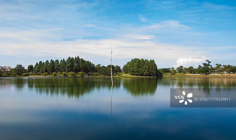 生态公园图片素材