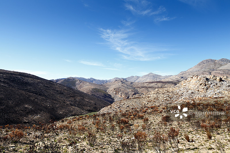 美丽的焦土图片素材