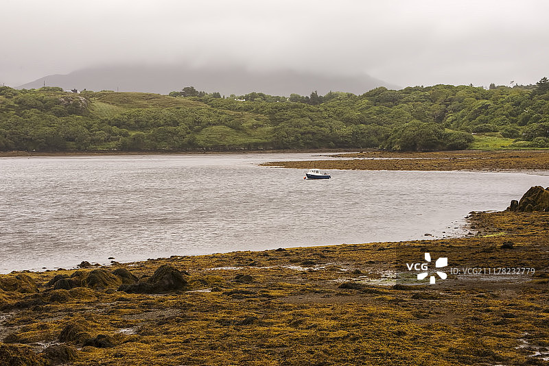 薄雾笼罩的湖泊（1）图片素材