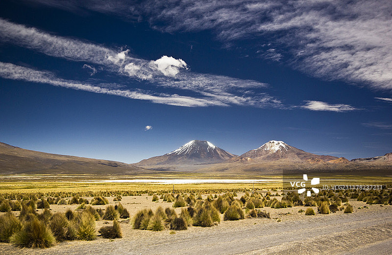 玻利维亚萨哈马火山附近的草地和雪山图片素材